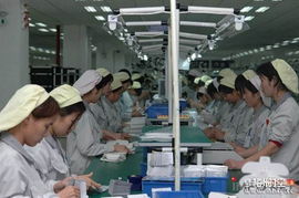 正隆纸品厂暑期工招聘信息详情与求职指南